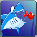 ”The Hungry Shark