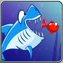 The Hungry Shark APK