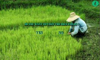 Welcome to the Rice Fields plakat