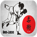 Brezilya Jiu Jitsu Kol-Kilitler APK