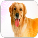 Dog sounds APK