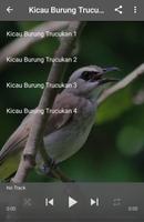 برنامه‌نما Suara Burung Trucukan عکس از صفحه