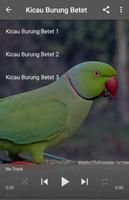 Suara Burung Betet-poster