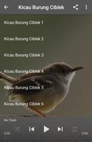 Kicau Burung Ciblek capture d'écran 2
