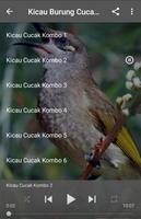 Suara Burung Cucak Kombo captura de pantalla 1