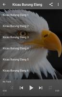 Suara Burung Elang Affiche