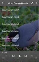 Kicau Burung Gelatik captura de pantalla 1