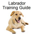 آیکون‌ Labrador Training Guide