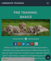 Poster Labrador Training Guide