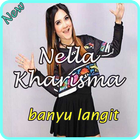 Nella Kharisma Lagu Banyu Langit icône