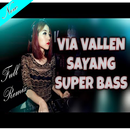 Via Vallen DJ Sayang Remix APK