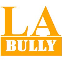 LA Bully poster