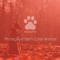 Adota Pet - Adoção de Animais Affiche