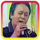 Lagu Dangdut Mansyur S Terpopuler APK