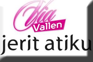 JERIT Atiku Via Vallen स्क्रीनशॉट 2