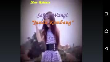 Lagu Dangdut Janda Kembang ภาพหน้าจอ 1