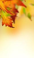 Autumn Leaves Wallpapers ảnh chụp màn hình 2