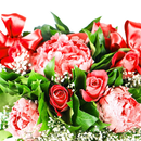 Fleur Bouquets Fonds d'écran APK