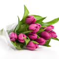Temas Flores