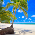 Sea wallpapers
