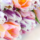 Spring Flower Easter Postcard Wallpapers آئیکن