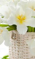 Spring Flower Easter Postcard Wallpapers اسکرین شاٹ 2