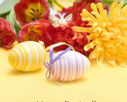 Spring Flower Easter Postcard Wallpapers اسکرین شاٹ 3