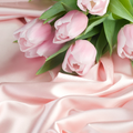 Tulips Themes