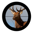 DEER HUNTING 2017 HD APK