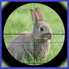 Rabbit Hunter APK download