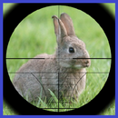 APK خرگوش شکارچی 3D