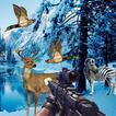 Chasse aux animaux 2015 3D