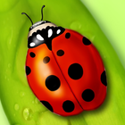 ladybug live wallpaper آئیکن