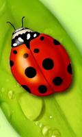 ladybug live wallpaper poster