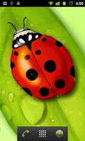 ladybug live wallpaper اسکرین شاٹ 1