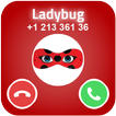 Call Ladybug Hero