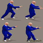 The Best Combination of Tai Chi Movements icône