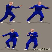 The Best Combination of Tai Chi Movements captura de pantalla 2