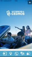 Autoescuela Los Cedros-poster