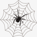 Lakewood Web aplikacja