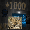 +1000 خلفيات متنوعة