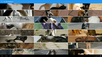 Cat Fight Wallpapers captura de pantalla 2