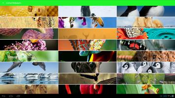 Animal Wallpapers Affiche