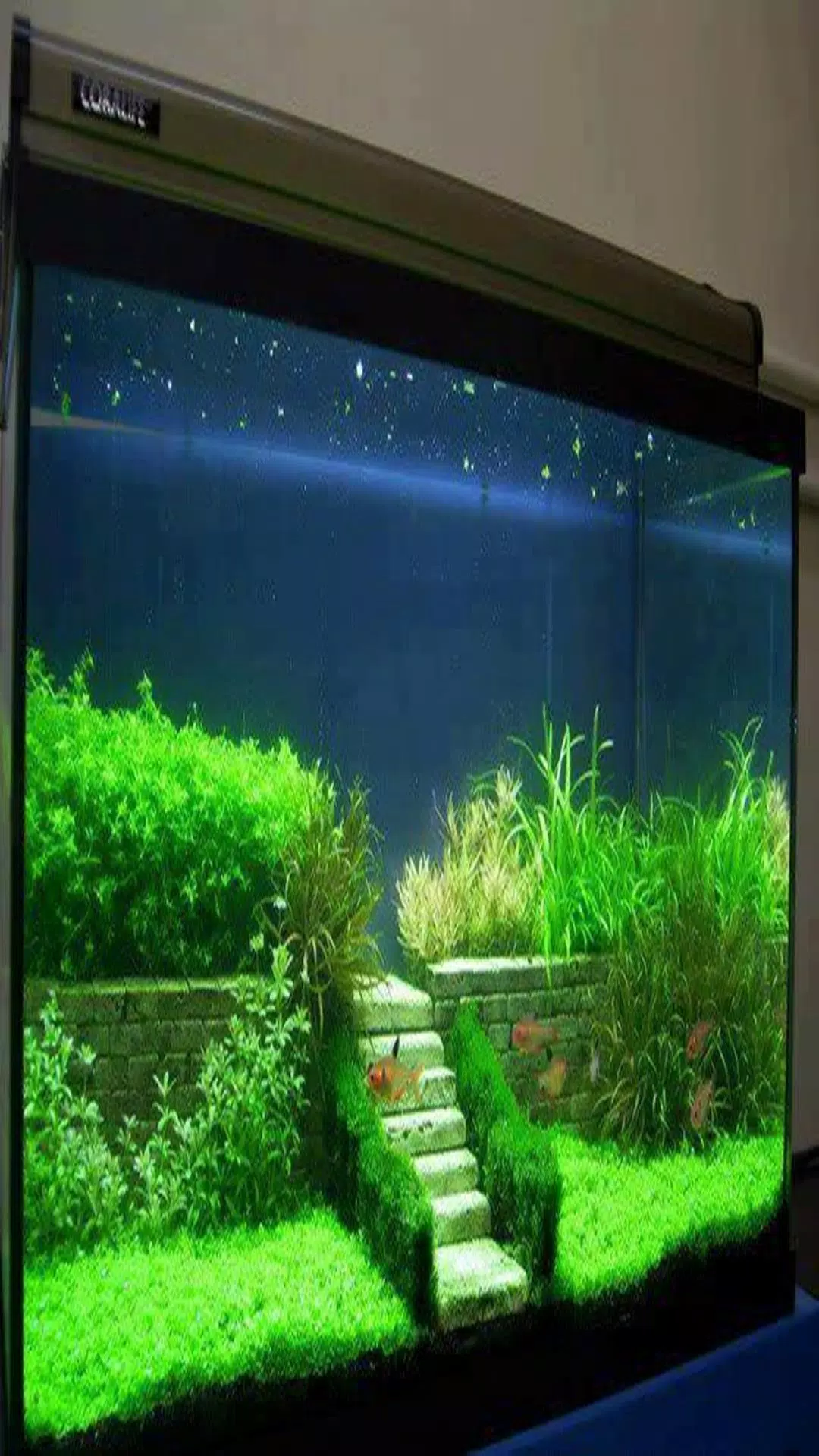 DIY Aquarium Decorations Ideas APK for Android Download