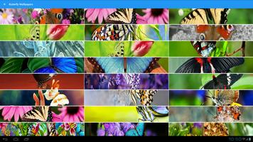 Butterfly Wallpapers تصوير الشاشة 1