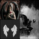 Free Dark Angel Wallpaper HD Collection-APK