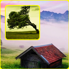 Free Nature Wallpaper HD for Android آئیکن