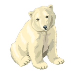 Zoo Match'em icon