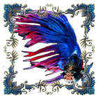Cupang Fish icon
