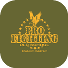 Pro Fighting Old School icon